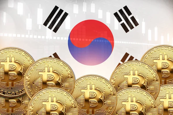 Önünde bir sürü Bitcoin, duvarında da Güney Kore bayrağı var. illüstrasyon poster tasarımı