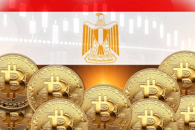 Önünde bir sürü Bitcoin ve duvarında Mısır bayrağı var. illüstrasyon poster tasarımı