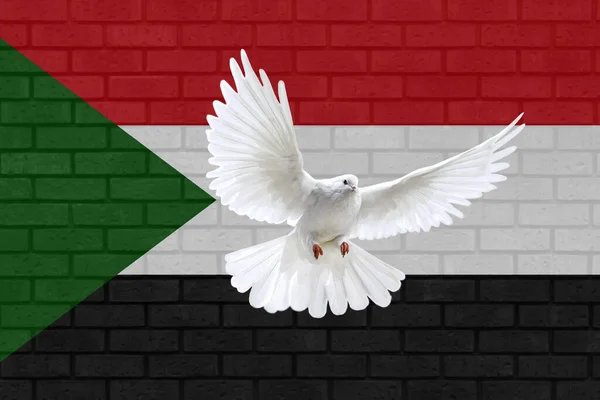 dove fly in the background of Sudan flag and wall texture. Sudan war and peace concept. illustration design.