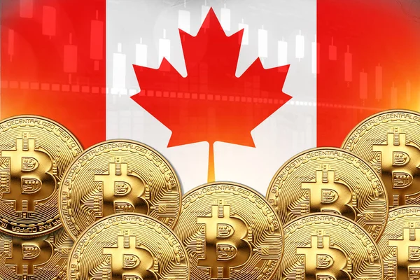 Önünde bir sürü Bitcoin ve duvarında Kanada bayrağı var. illüstrasyon poster tasarımı.