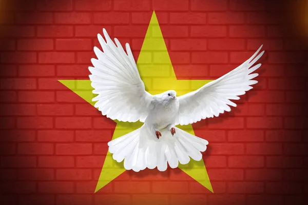 Dove fly with the background of Vietnam flag and wall texture. peace concept. illustration design