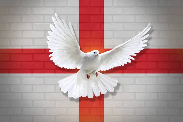 Dove fly with the background of England flag and wall texture. peace concept. illustration design.