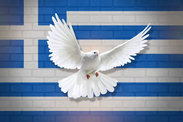 Dove fly with the background of Greece flag and wall texture. peace concept. illustration design.