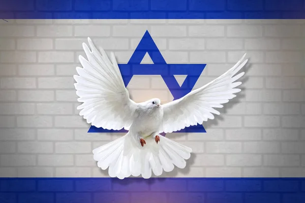 Dove fly with the background of Israel flag and wall texture. peace concept. illustration design.