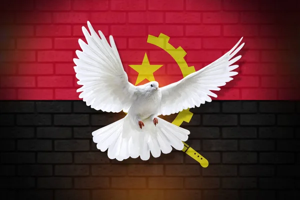 Duva Flyga Med Bakgrunden Angola Flagga Och Vägg Konsistens Fredskoncept — Stockfoto