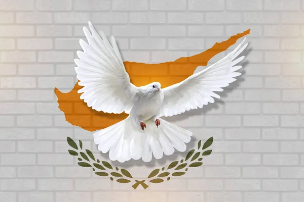 Dove fly with the background of Cyprus flag and wall texture. peace concept. illustration design