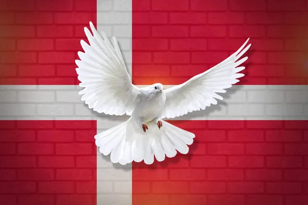 Dove fly with the background of Denmark flag and wall texture. peace concept. illustration design