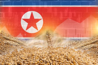 Kuzey Kore bayrağı ve duvar dokusu resimli poster tasarımlı tahıl gevreği grubu. gevrekler ticaret ekonomisi kavramı.