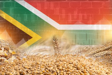 Güney Afrika bayrağı ve duvar dokusu resimli poster tasarımlı tahıl gevreği grubu. gevrekler ticaret ekonomisi kavramı