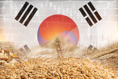 Güney Kore bayrağı ve duvar dokusu resimli poster tasarımlı tahıl gevreği grubu. gevrekler ticaret ekonomisi kavramı.