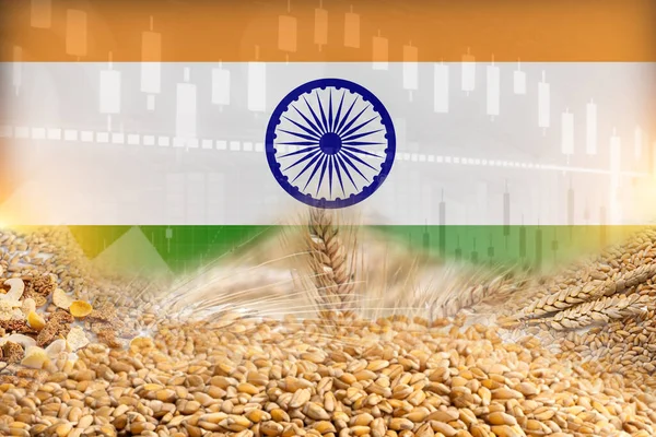 stock image Group of grain cereals with India flag illustration poster design. cereals trade economy concept