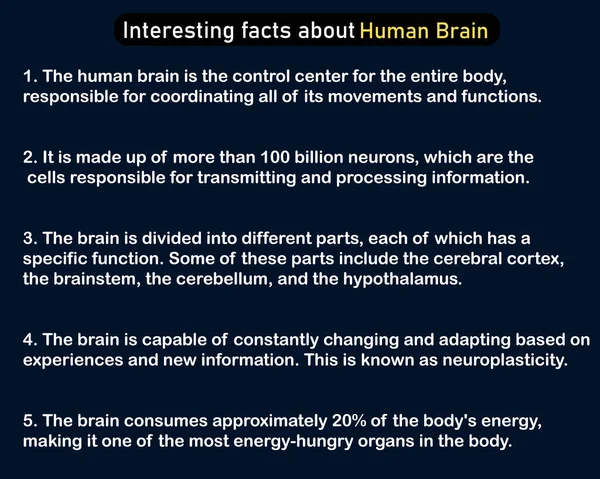 stock vector Interesting facts about Human Brain. vector flat design poster. vector-eps10.