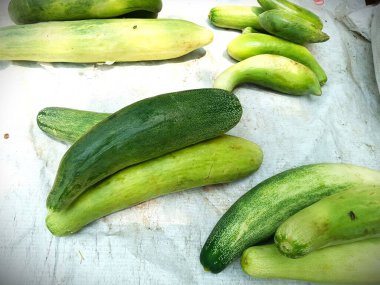 Yerel pazarda yeşil ve taze salatalıklar. Resmi kapat @ info. 