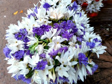 Canlı Hintli Jasmine Garland ve Cornflower. Resmi yaklaştır. 