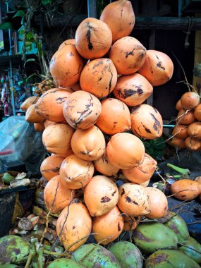 Satılık, kahverengi ve yeşil tonlarında çeşitli olgun hindistan cevizleri sergileniyor.