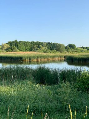 Ukrayna köyünde sakin bir nehir