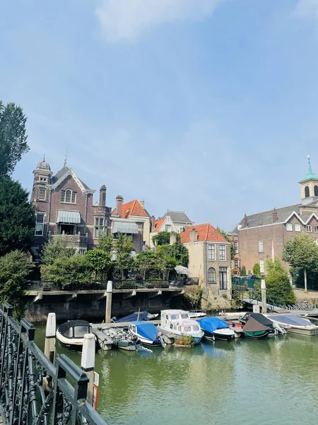                   Beautiful view from the window in Nederlands 