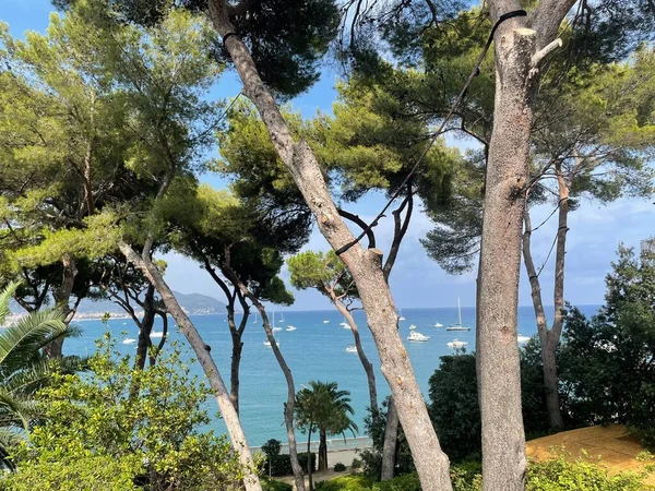 Güzel deniz manzarası