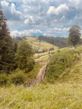 view of the beautiful landscape of the carpathian mountains in Ukraine on a sunny day