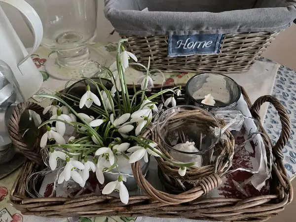 spring flowers. white and black.