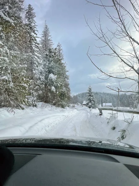 view of the beautiful landscape of the carpathian mountains in Ukraine on a sunny day