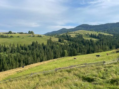 Kırsal kesimde güzel bir manzara, Ukrayna