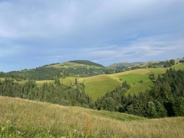 Kırsal kesimde güzel bir manzara, Ukrayna
