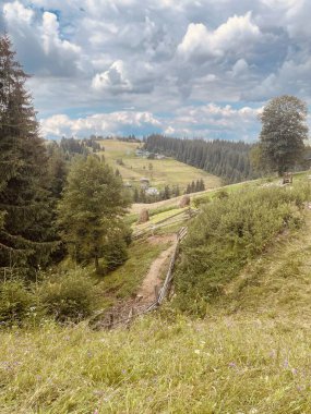 Dağlarda yolu olan güzel bir manzara.