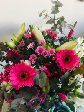 Saksıdaki güzel çiçek