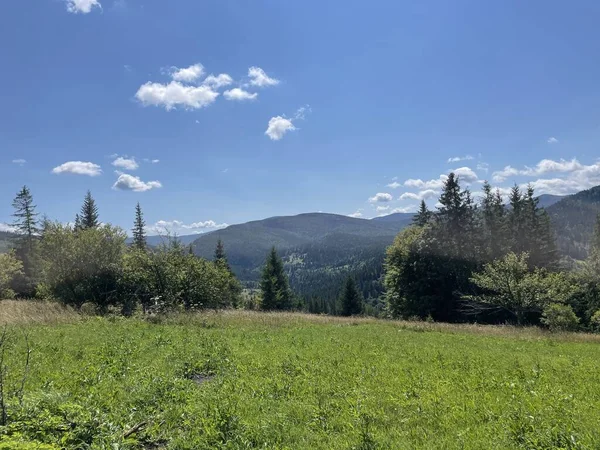 Kırsal kesimde güzel bir manzara, Ukrayna