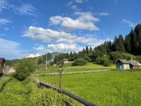 Kırsal kesimde güzel bir manzara, Ukrayna