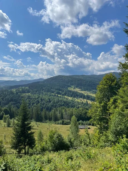 Arkasında bir dağ olan güzel bir manzara.