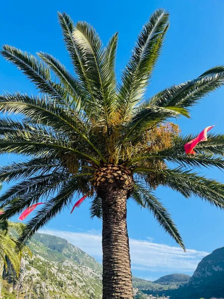 Montgro 'daki kumsal manzarası, güneşli bir gün için bir yer.