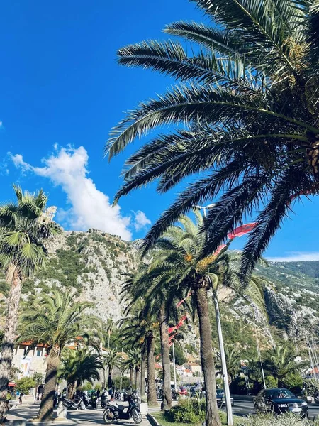 Güzel deniz manzarası.