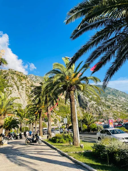 Şehrin güzel manzarası 