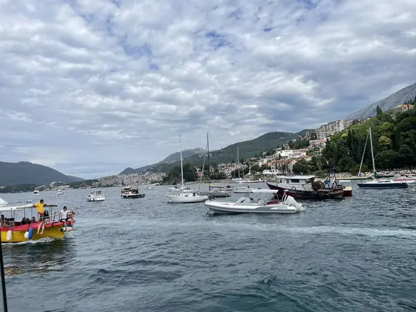 view of the sea and the port of kotor, montenegro