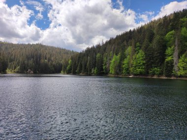 Göl ve dağlarla dolu güzel bir manzara.
