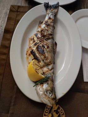 soyut büyük gri arkaplan