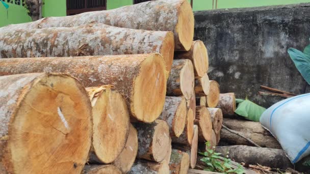 Pile Wood Sawmill — Stock Video