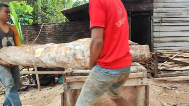 Bekerja Pabrik Gergaji Indonesia Adalah Memisahkan Blok Blok Pabrik Gergaji — Stok Video