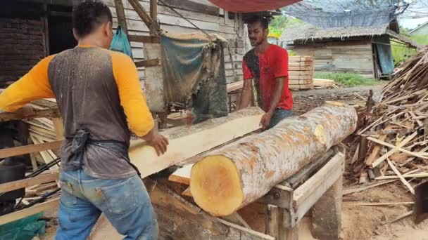 Pekerjaan Penggergajian Sawmill Indonesia Adalah Memisahkan Blok Blok Penggergajian — Stok Video