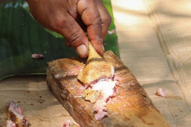 Ormanda, Aceh, Endonezya 'da kesilen ya da kavrulmuş ördek eti manzarası