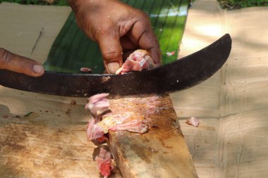 Ormanda, Aceh, Endonezya 'da kesilen ya da kavrulmuş ördek eti manzarası