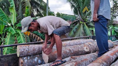 Aceh, Endonezya 26 Mart 2023: Asyalı çalışkan adamlar nakliye kamyonlarından kirişleri indiriyor. Kuzey Aceh, Aceh Eyaleti, Endonezya 26 Mart 2023