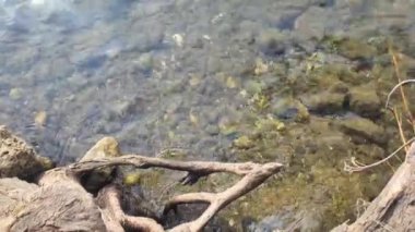 Lut Gölü 'nün doğal manzarası Tawar Takengon, oradaki manzara gerçekten çok güzel, Endonezya