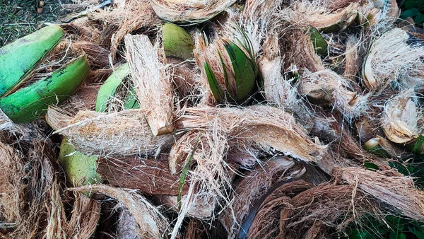 Hindistan cevizi coir görüntüsü meyvelerden ayrılmış, Hindistan cevizi coir yaygın olarak Endonezya 'da kullanılır.