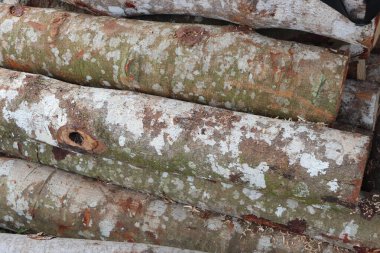 Sawmill ahşap kesilen ve bir kereste fabrikasında işlenmeye hazır ahşap anlamına gelir, daha sonra ahşap çeşitli aşamalarda işlenir istenilen boyutu, şekli ve şekli ile daha küçük ahşap parçalarına çevrilir