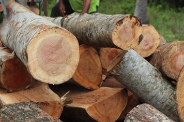 Sawmill ahşap kesilen ve bir kereste fabrikasında işlenmeye hazır ahşap anlamına gelir, daha sonra ahşap çeşitli aşamalarda işlenir istenilen boyutu, şekli ve şekli ile daha küçük ahşap parçalarına çevrilir