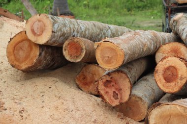 Sawmill ahşap kesilen ve bir kereste fabrikasında işlenmeye hazır ahşap anlamına gelir, daha sonra ahşap çeşitli aşamalarda işlenir istenilen boyutu, şekli ve şekli ile daha küçük ahşap parçalarına çevrilir