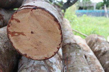 Sawmill ahşap kesilen ve bir kereste fabrikasında işlenmeye hazır ahşap anlamına gelir, daha sonra ahşap çeşitli aşamalarda işlenir istenilen boyutu, şekli ve şekli ile daha küçük ahşap parçalarına çevrilir